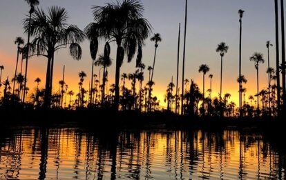 tours x yacumama LAKE TAMBOPATA PERU TOURS LLE