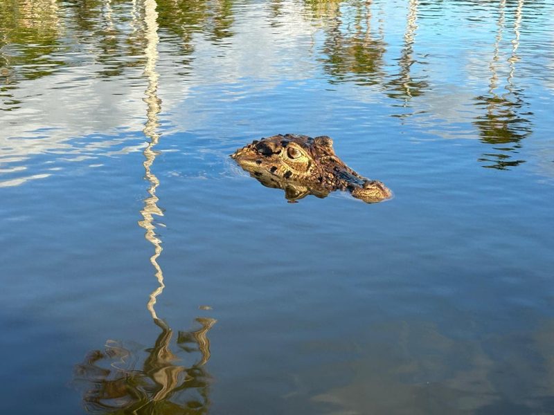 WhatsApp Image at PM