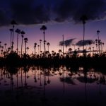 WhatsApp Image at PM ()