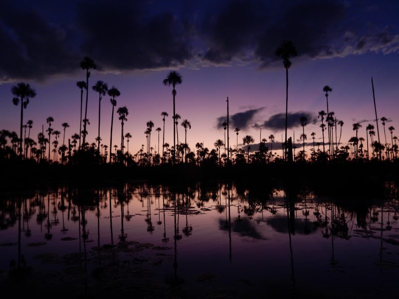 WhatsApp Image at PM ()